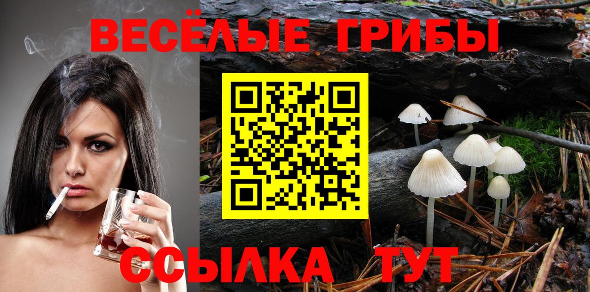 Галлюциногенные грибы Magic Shrooms  Псилоцибиновые грибы Psilocybe  Вход с VPN  Краснокаменск 
